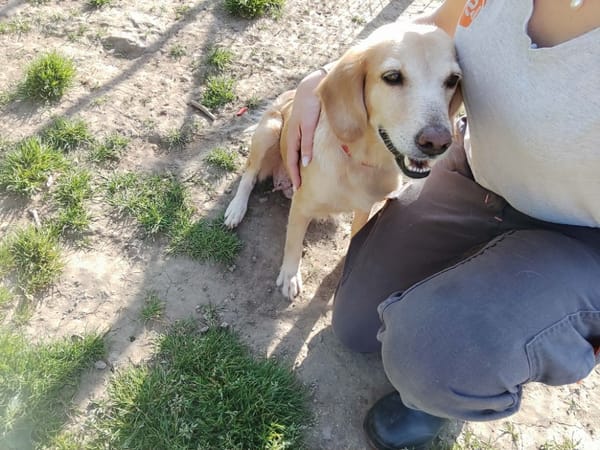 D'ANA QCN (réservée)