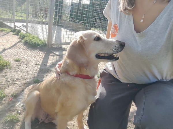 D'ANA QCN (réservée)