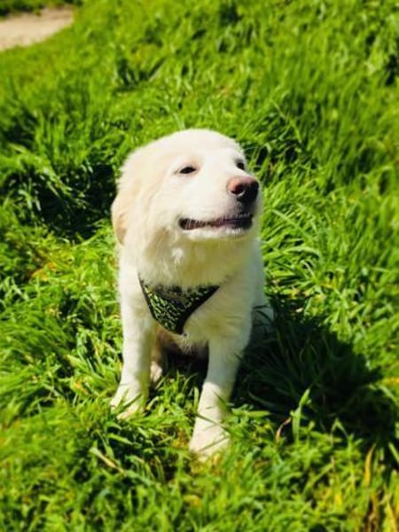 Josi ein bezauberndes liebes Mädchen