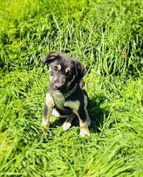 Frieda sehr menschenbezogen