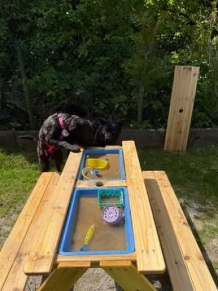 🐾 Erna sucht ihr Für-immer-Zuhause