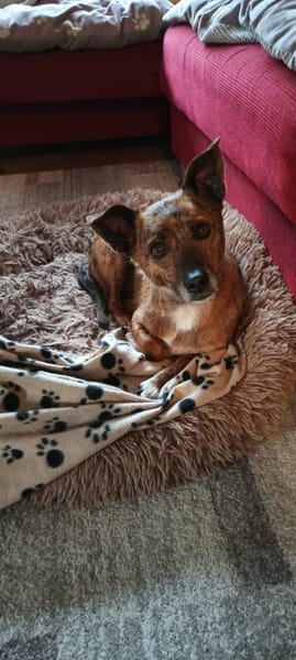 sehr liebe, kleine Mathilda auf PS 90562