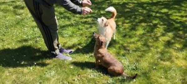 sehr liebe, kleine Mathilda auf PS 90562