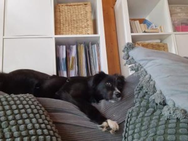 Anca wartet in 21789 Wingst