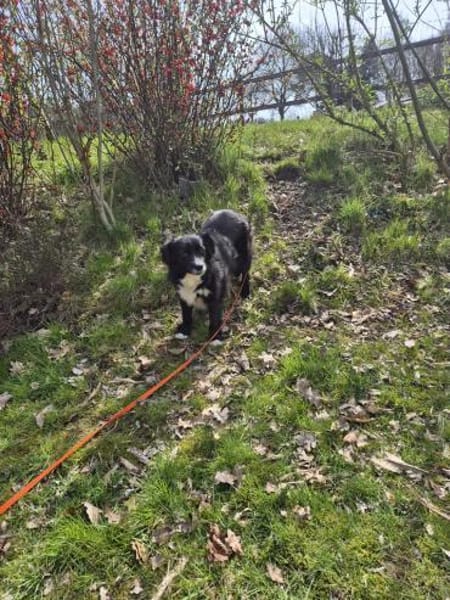 Anca wartet in 21789 Wingst