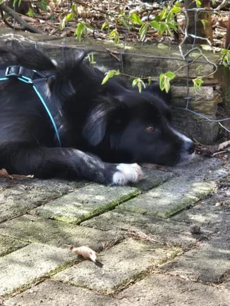 Anca wartet in 21789 Wingst