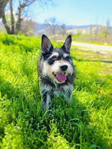 Darko einfach nur lieb und nett