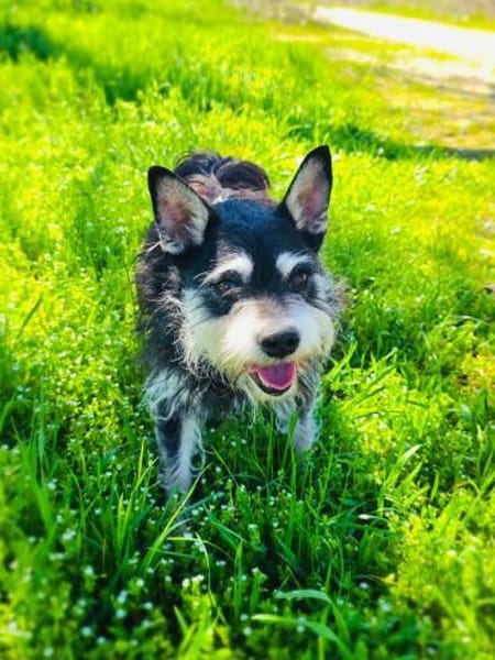 Darko einfach nur lieb und nett