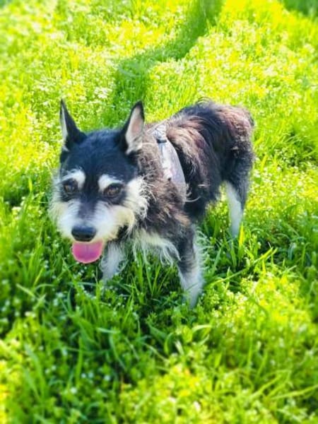 Darko einfach nur lieb und nett