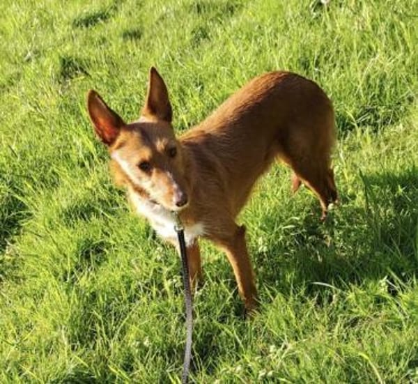 NICKI ❤  zerbrechlich, leise, tapfer