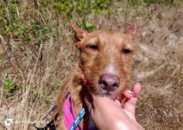 NICKI ❤  zerbrechlich, leise, tapfer