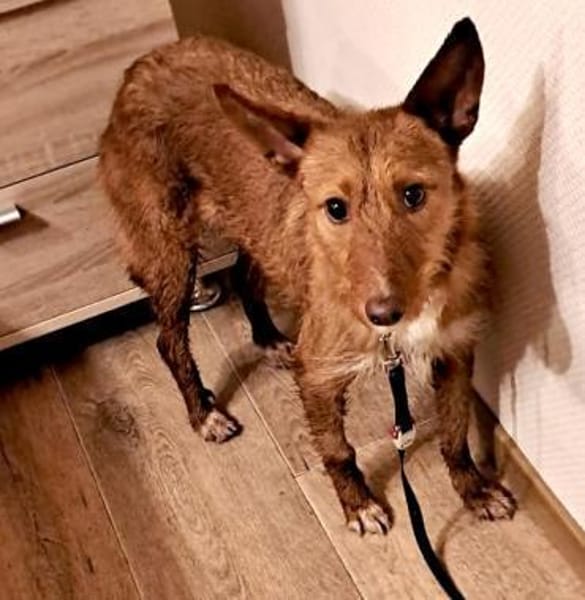 NICKI ❤  zerbrechlich, leise, tapfer