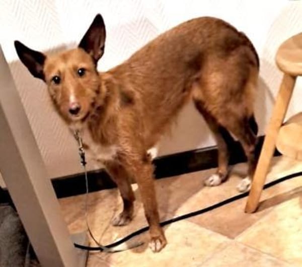 NICKI ❤  zerbrechlich, leise, tapfer