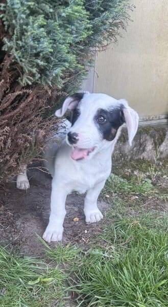 Lilo sehr freundlich und lieb