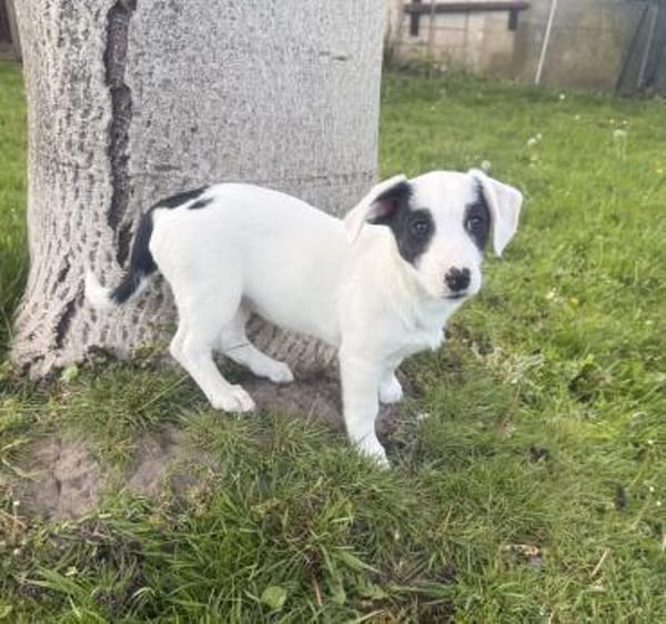 Lilo sehr freundlich und lieb