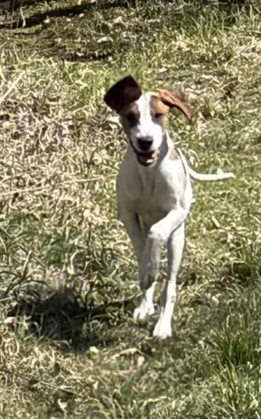 Sunny hübsche Seele bei München