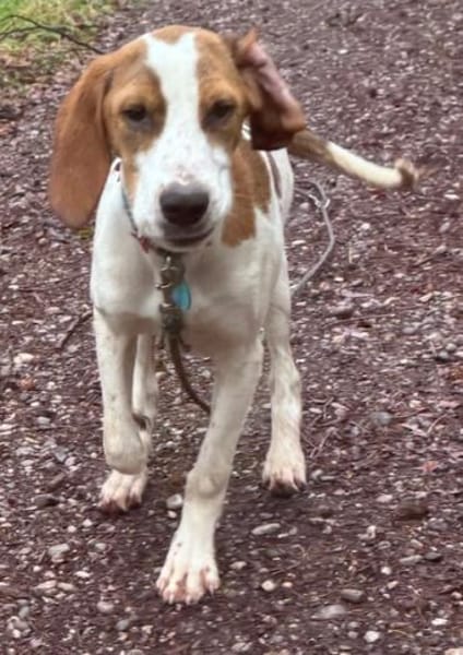 Sunny hübsche Seele bei München