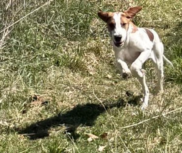 Sunny hübsche Seele bei München