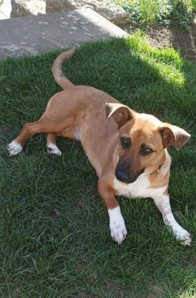 liebe kleine Katinka auf PS in 91353