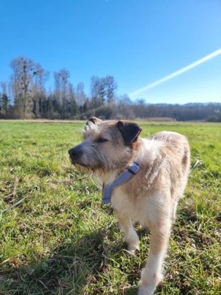 Bruno - möchte die Welt entdecken