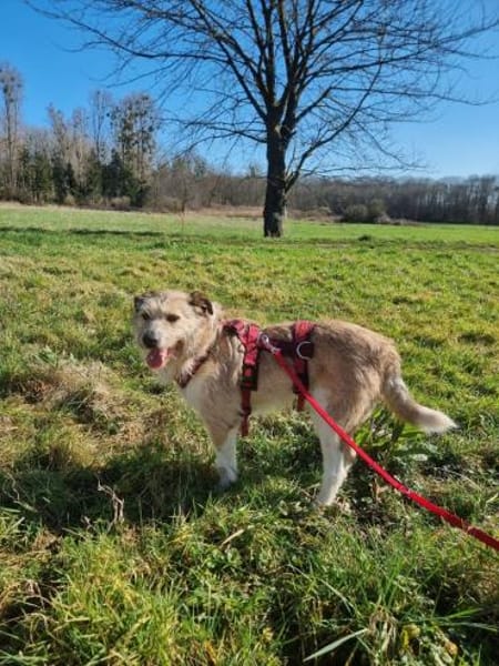 Bruno - möchte die Welt entdecken