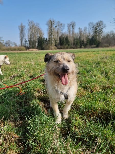 Bruno - möchte die Welt entdecken