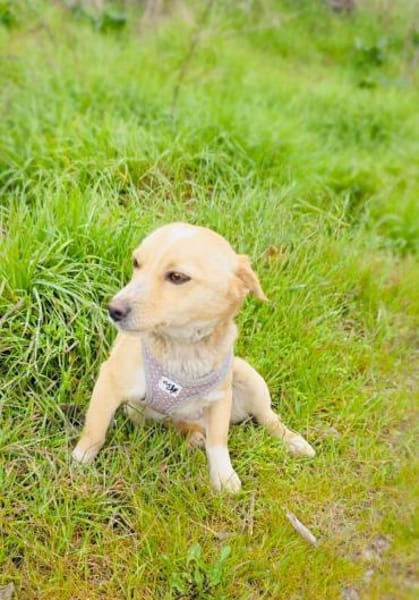 Savanna ein kleines zauberhaftes Mädchen