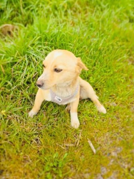 Savanna ein kleines zauberhaftes Mädchen