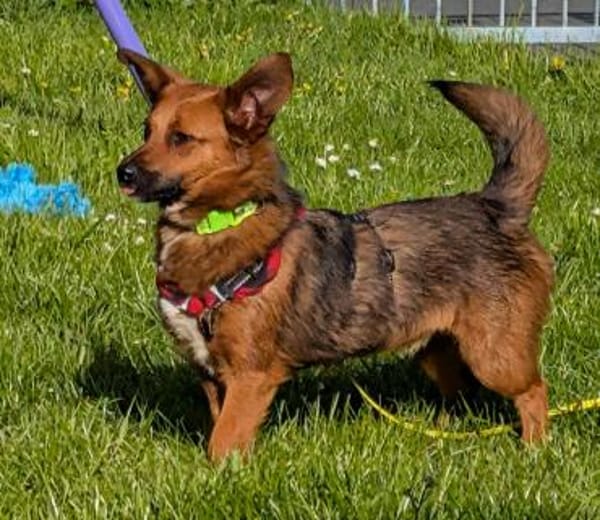 kleine süße Aurea auf PS in 91207