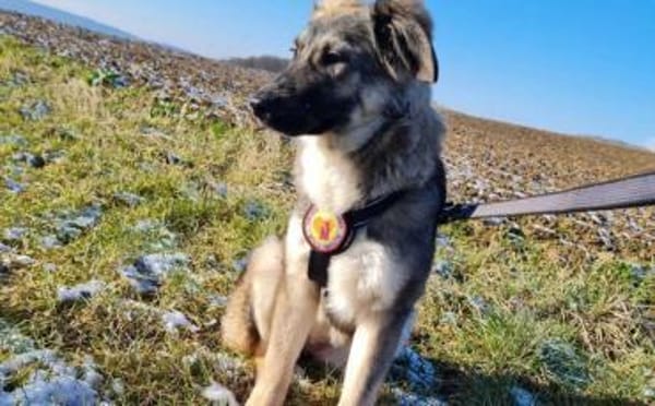 Eyra freut sich auf ihr neues Leben