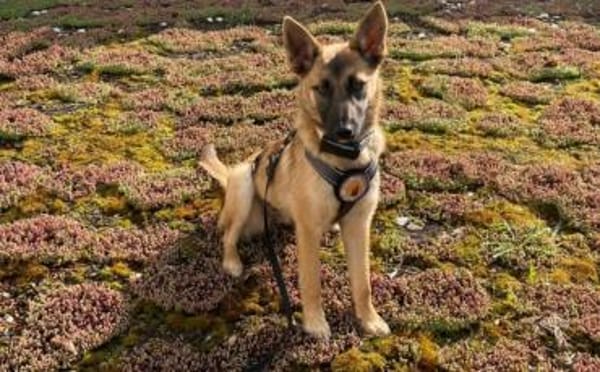 Yumiko - süß und menschenbezogen