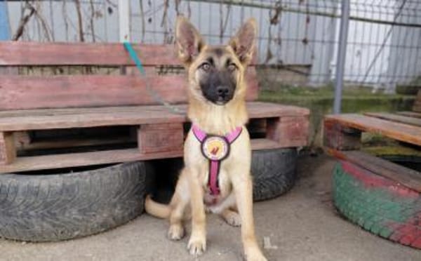 Yumiko - süß und menschenbezogen