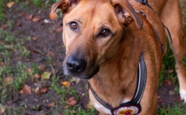 Die süße Finja möchte noch viel erleben