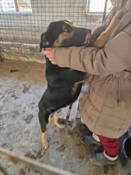 MAX jetzt auf PS in 50170 Kerpen