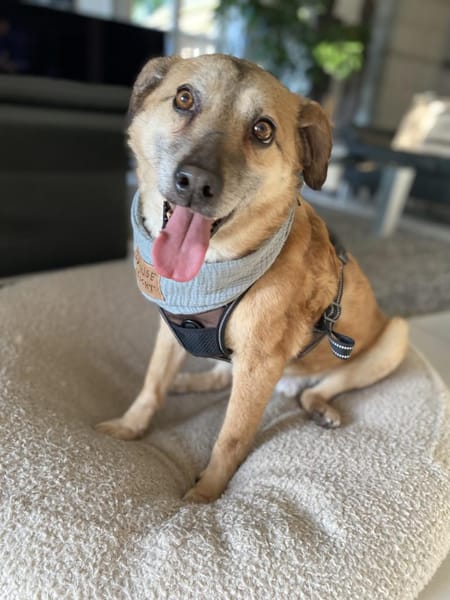 Ich bin der Bobby ❤