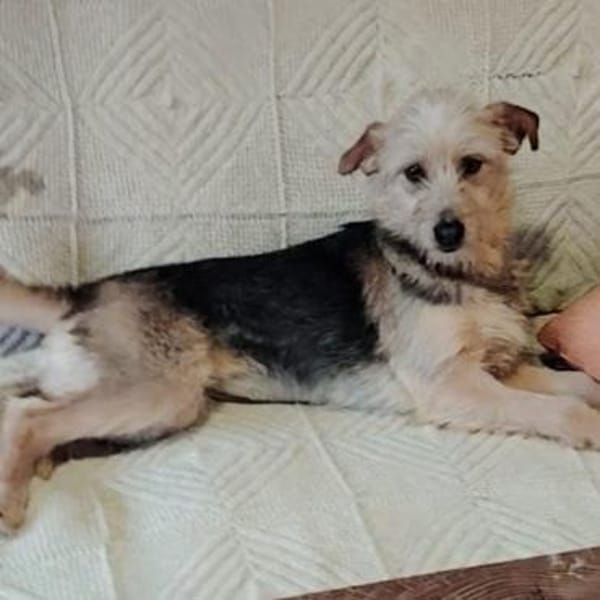 Electra💕wartet in 76187 Karlsruhe