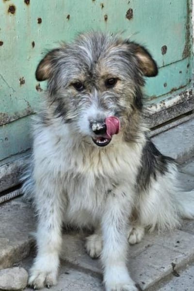 Kiki💕wartet in 90552 Röthenbach