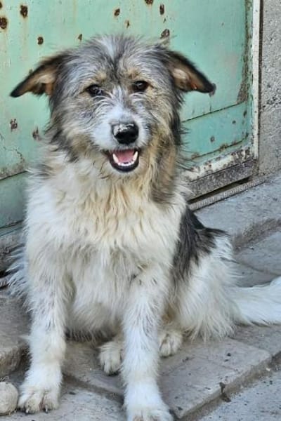 Kiki💕wartet in 90552 Röthenbach