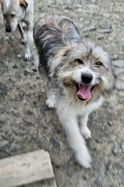 Kiki💕wartet in 90552 Röthenbach