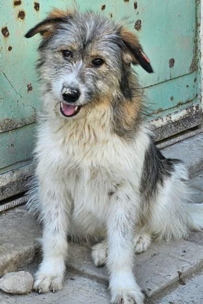 Kiki💕wartet in 90552 Röthenbach