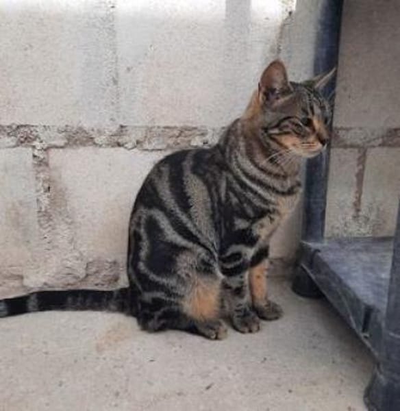 Ginebra wartet ......auf Sie?