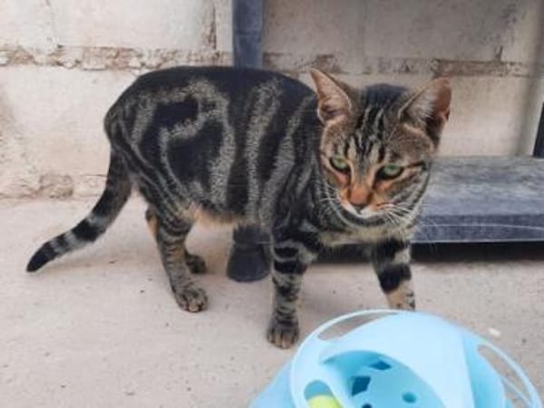 Ginebra wartet ......auf Sie?