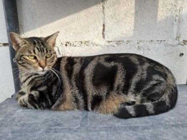 Ginebra wartet ......auf Sie?