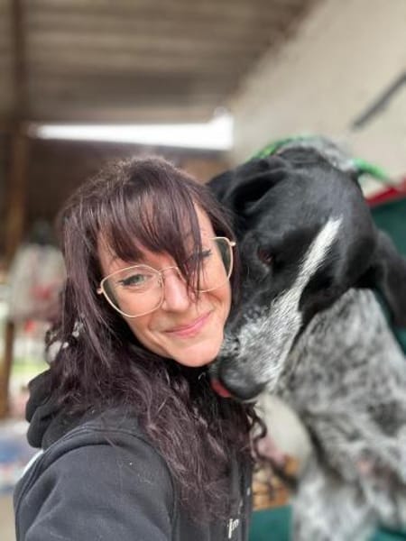 Moritz Aktiver Deutsch Kurzhaar Mix