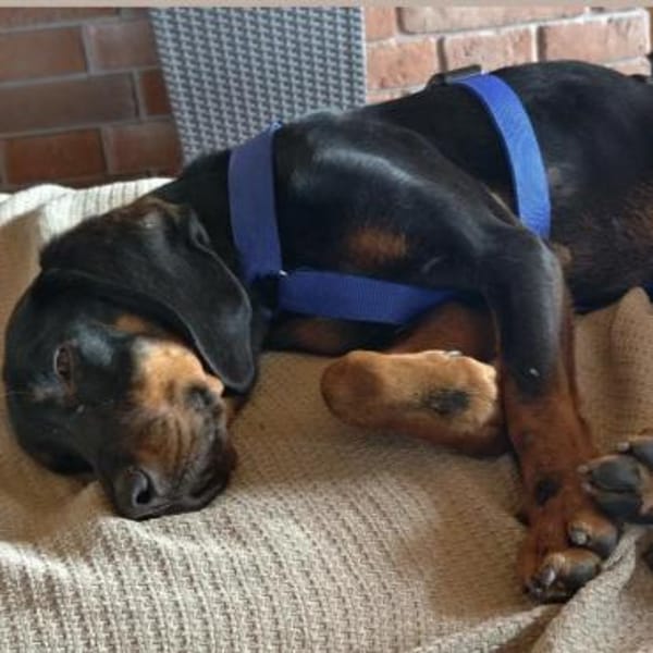 Günni -möchte endlich die Welt entdecken