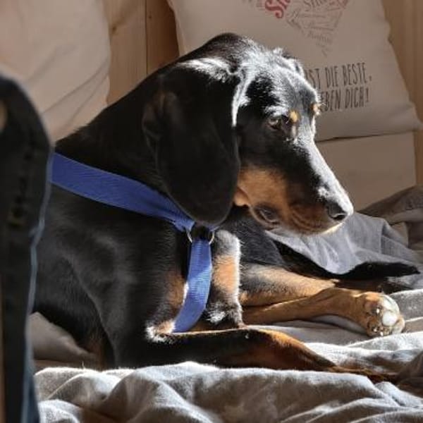 Günni -möchte endlich die Welt entdecken