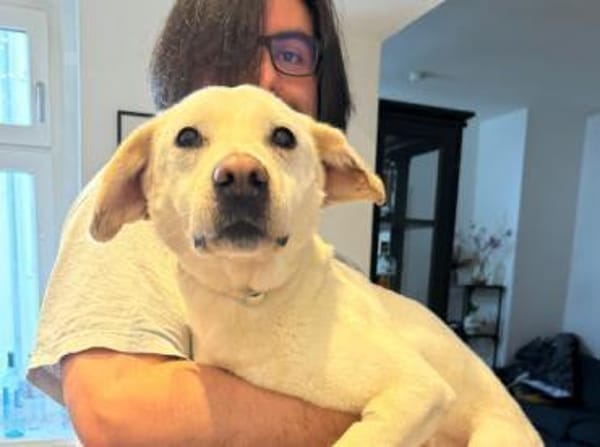 Anja - Liebenswerte Hündin auf PS