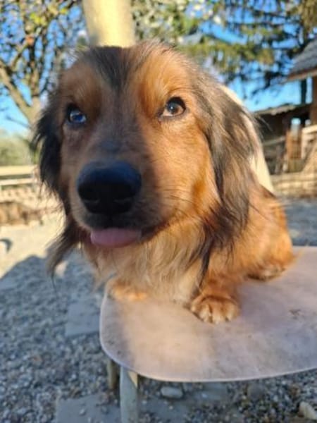 Titan, tapferer Herzensbrecher, ca. 1 Ja