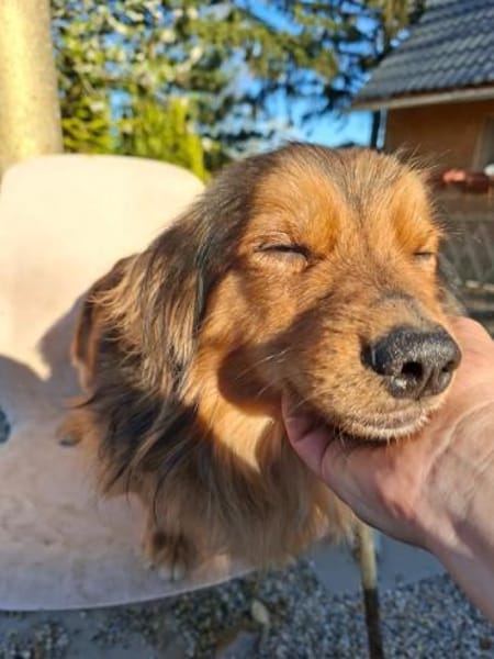 Titan, tapferer Herzensbrecher, ca. 1 Ja