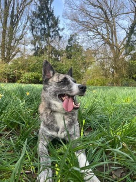 Finja - Die Hübsche 💕